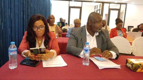 house of representative joint committee on judiciary, gender, health and education, experts, and CSOs review draft fgm bill