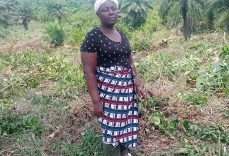 In Sugar Hill Community, Gbarnga, Liberia, smallholder farmer Susay Kollie aimed to support her family through her cassava farm. However, her use of chemical fertilizers backfired, resulting in flavorless cucumbers and yellow potato greens. As her customer base dwindled, so did her income, leaving Susay uncertain about how to improve her farming methods.