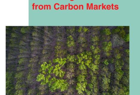 ActionAid Carbon Report Cover-Caution-Required-Protecting-Communities-from-Carbon-Markets-Final (1)