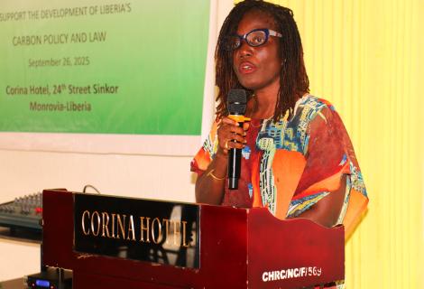 ActionAid Liberia Country Director makes remarks