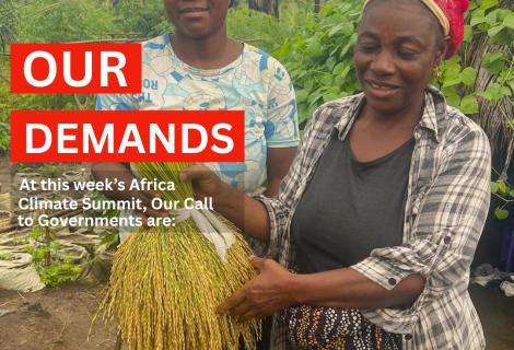 WOMEN FARMERS IN RURAL MONTSERRADO UNDER THE SPA II PROJECT
