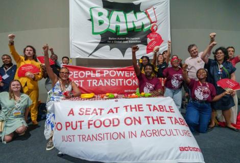 climate activists at cop30