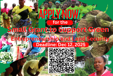 flyer for Small Green Grant EOI