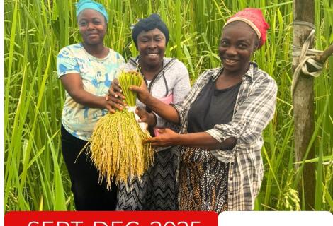 coverage AAL NEWSLETTER