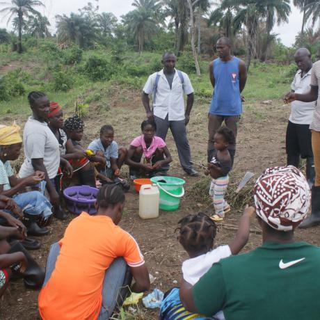 J ackson Bee, a dedicated Liberian farmer from Far East Community, Gbarnga City, Bong County, faced significant challenges in his agricultural journey. As a smallholder farmer, he struggled with limited access to land, financial constraints, and a lack of connection to larger markets. Despite his energy and leadership in promoting agriculture among young people, he found it difficult to expand his farming activities beyond subsistence levels. One of the biggest hurdles was acquiring land. Without financial 