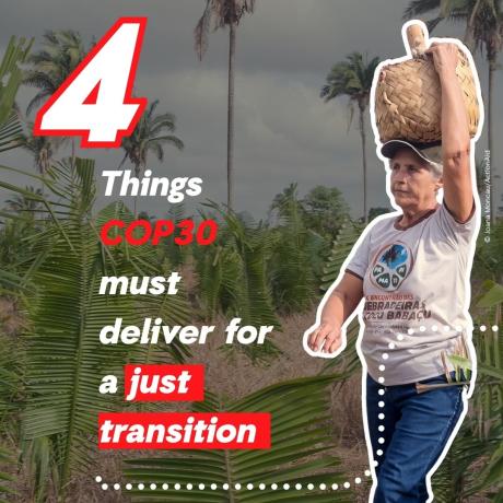 COP30 CALLS FROM ACTIONAID