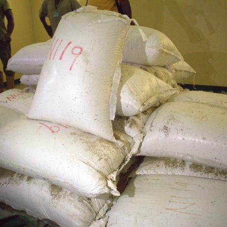 Harvested Reed Seed from Poukpeh Narica L-19 rice packed in an MOA Warehouse