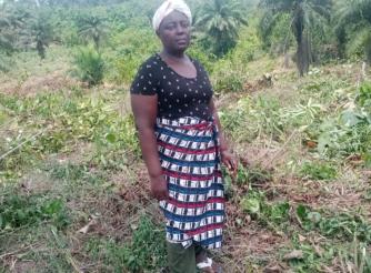 In Sugar Hill Community, Gbarnga, Liberia, smallholder farmer Susay Kollie aimed to support her family through her cassava farm. However, her use of chemical fertilizers backfired, resulting in flavorless cucumbers and yellow potato greens. As her customer base dwindled, so did her income, leaving Susay uncertain about how to improve her farming methods.