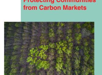 ActionAid Carbon Report Cover-Caution-Required-Protecting-Communities-from-Carbon-Markets-Final (1)